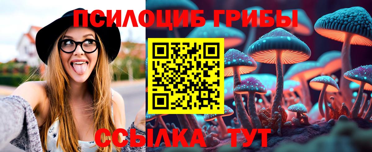 Псилоцибиновые грибы MAGIC MUSHROOMS  Вход с VPN  Когалым 